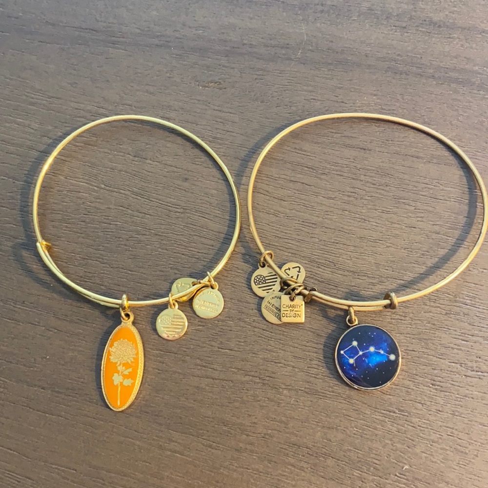 Alex and Ani bracelet - 2 for $25!